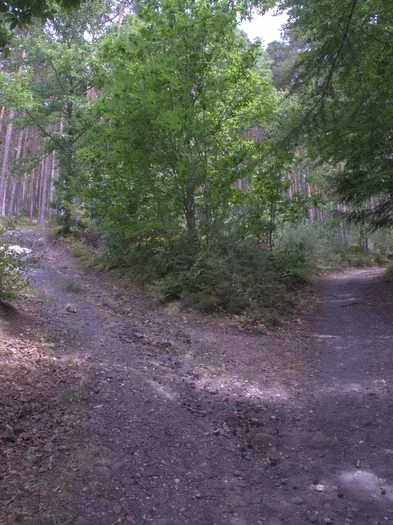La Tour du Faudé, Alsace (France)